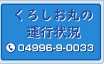 あおがしま丸の運行状況 04996-9-0033